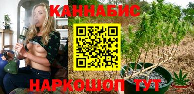 крисы Канаш
