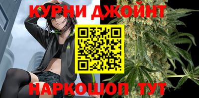 крисы Канаш